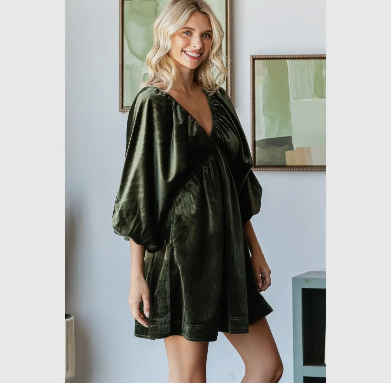 Velvetpuff Sleeve V Neck Dress