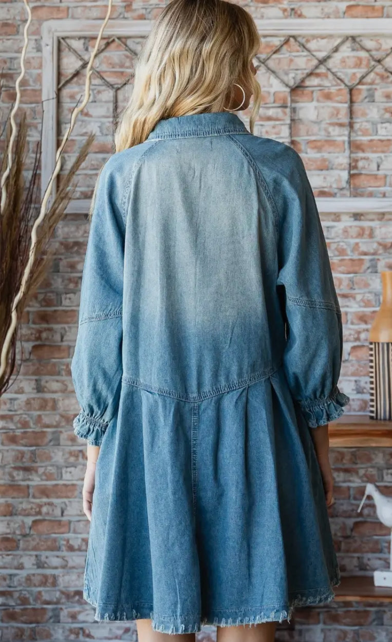 Overfit Button Down Denim Dress