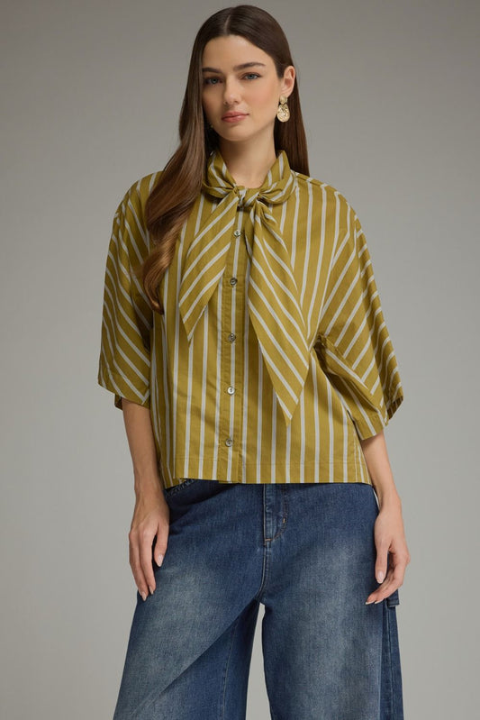 Entro-Stripe print elbow-length wide sleeve top with a neck tie and cropped length.