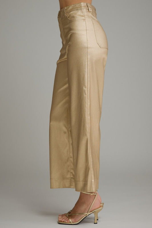 Entro-Solid metallic wide leg pants.
