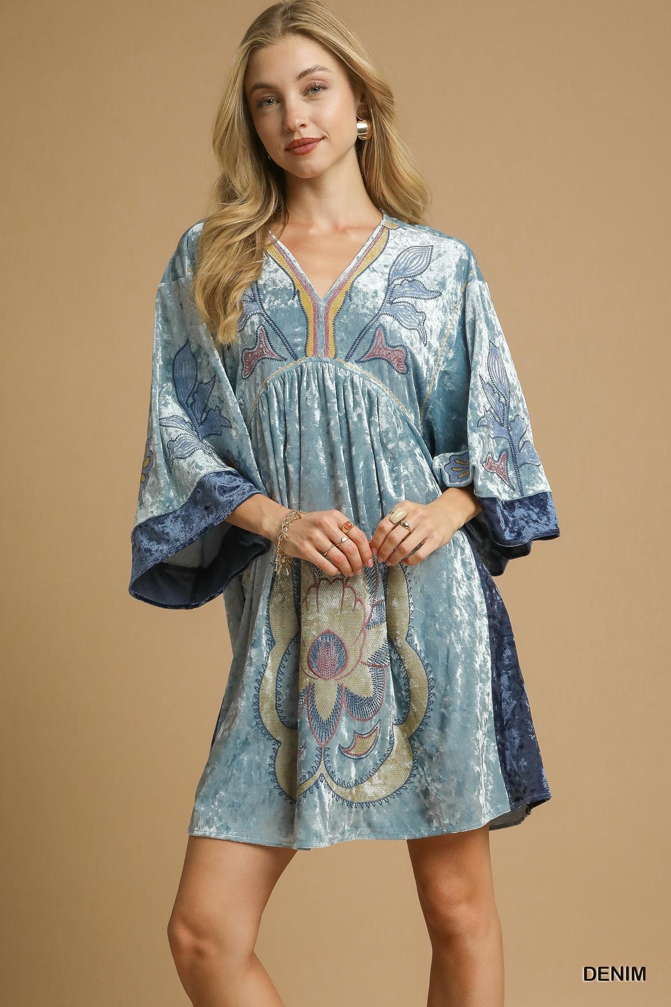 Velvet Floral Embroidery Swing Dress