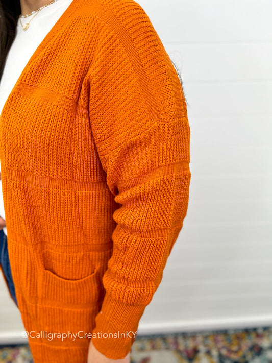 Pumpkin Pie Cardigan - Talk of the Town