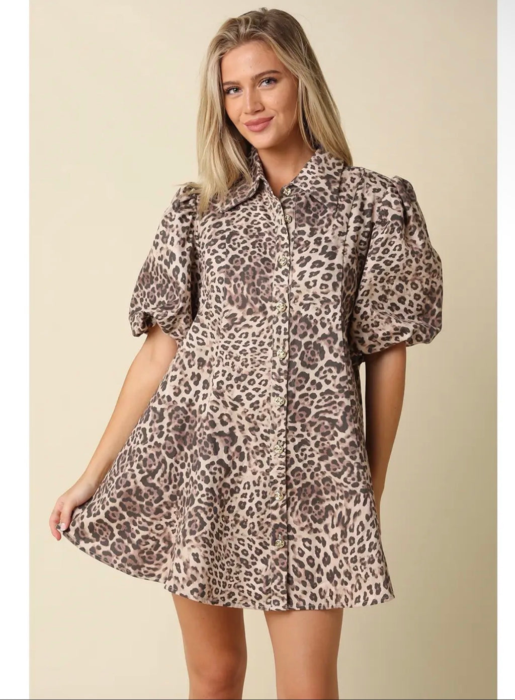 Wildly Chic Leopard Dress