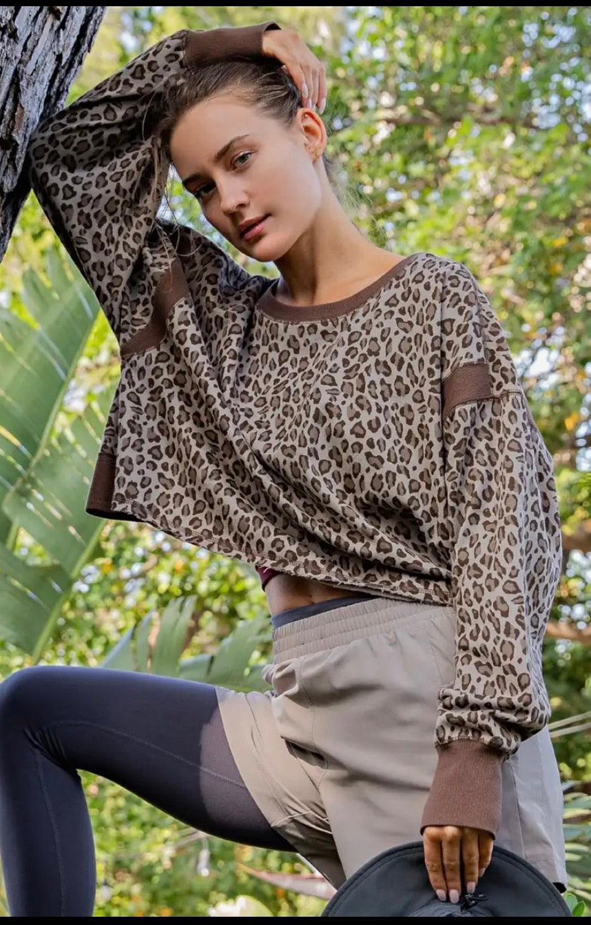 Wild Escape Pullover