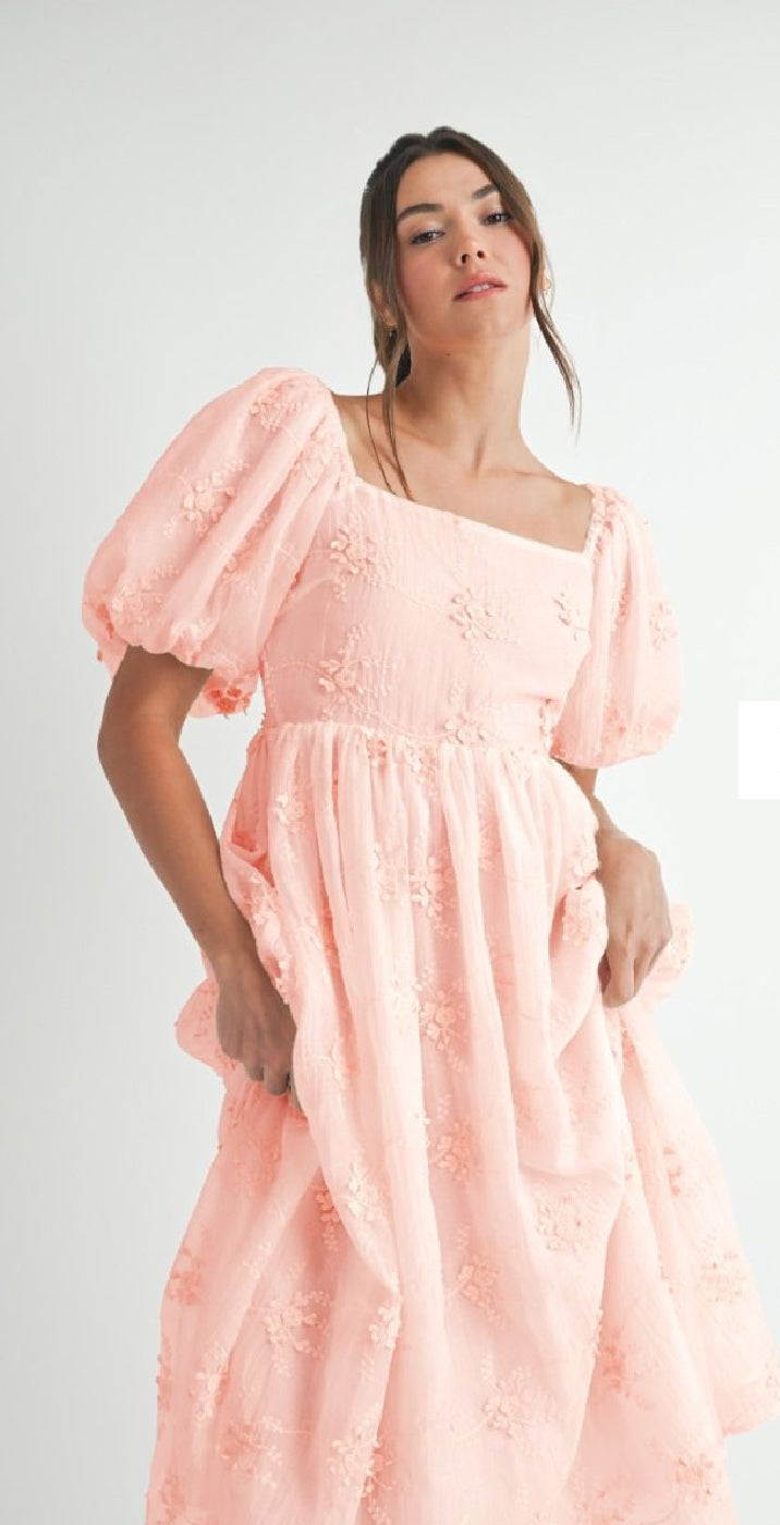 Embroidered Short Sleeve Midi Dress