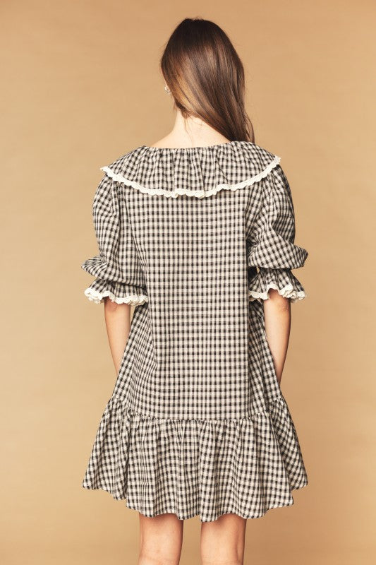 Gingham Grace Mini Dress