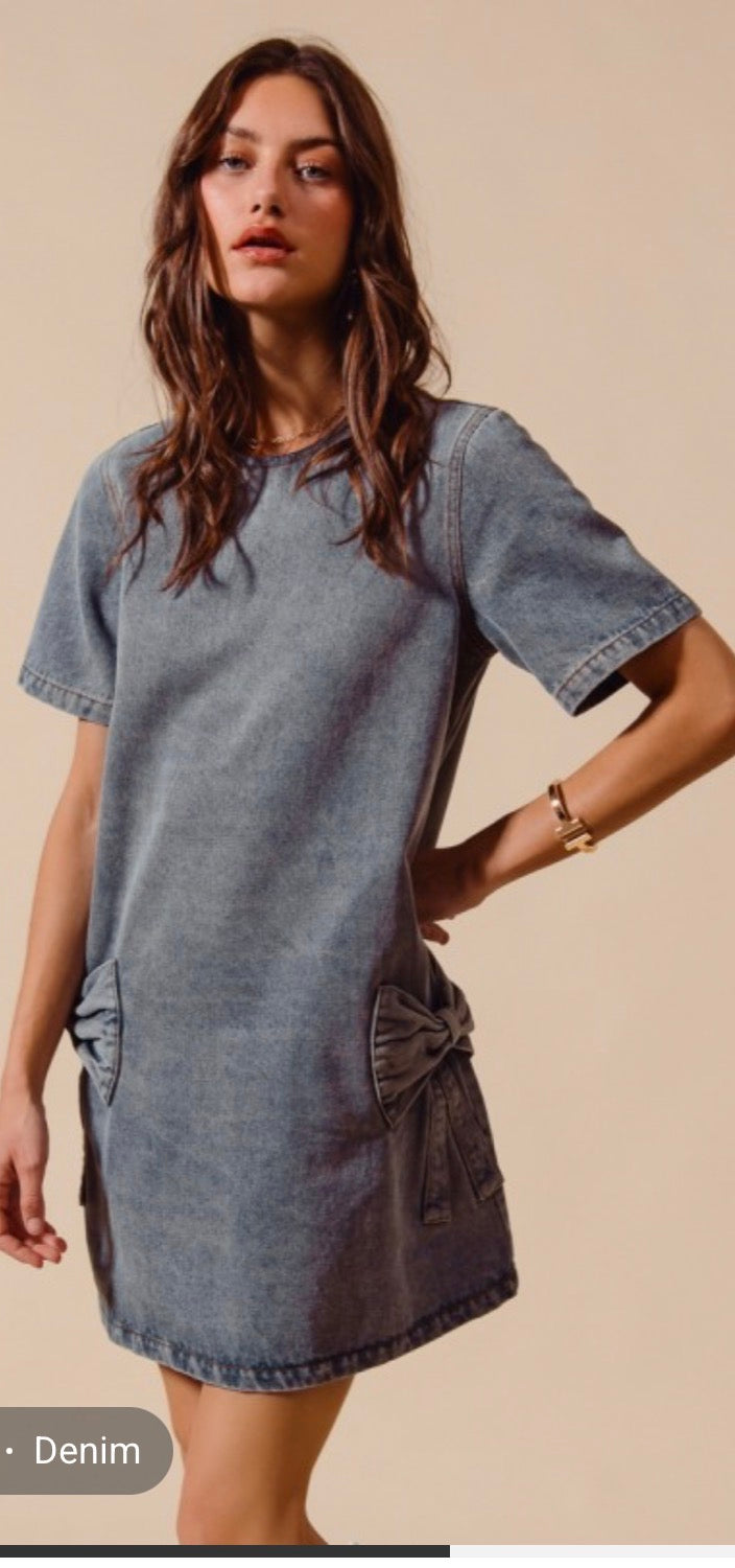 Blue Jean Beauty Dress