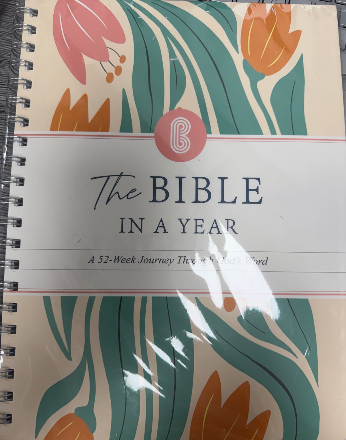 Bible In A Year