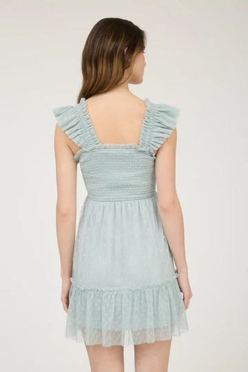Polka Dot Tulle Mini Dress
