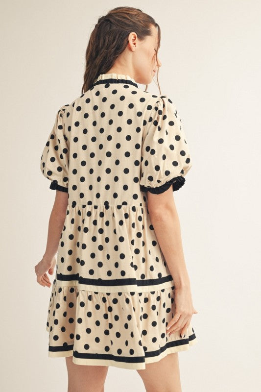 Pretty In Polka Dress