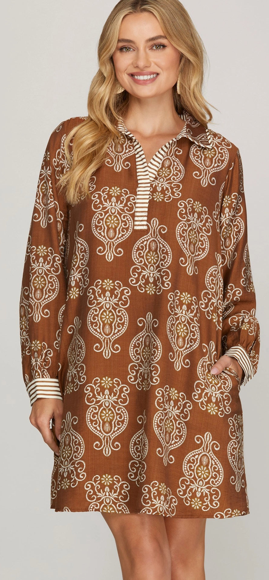 Rayon blend print dress with long sleeves and lined design