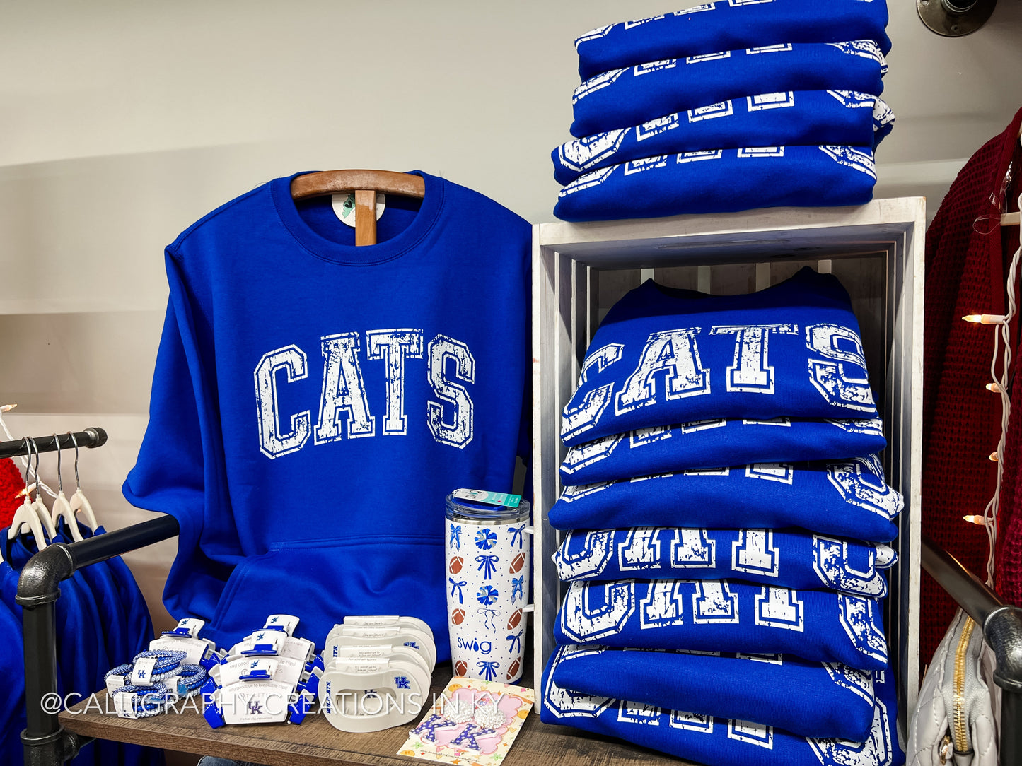 Distressed Cats Pocket Sweatshirt