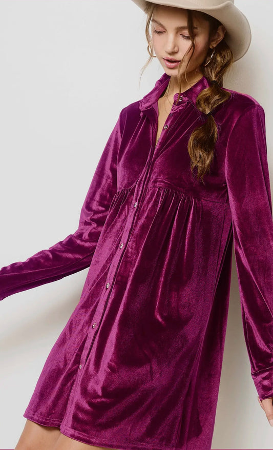 Soft Velvety Button Down Collar Dress