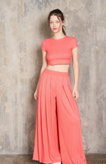 La Biz Cropped Tshirt & Pleated Pants Set