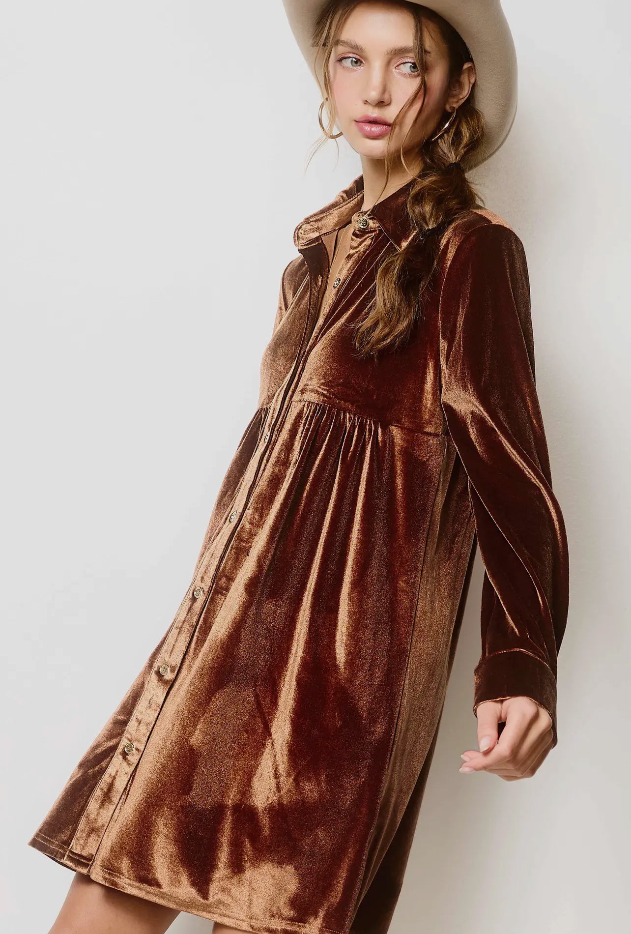 Soft Velvety Button Down Collar Dress