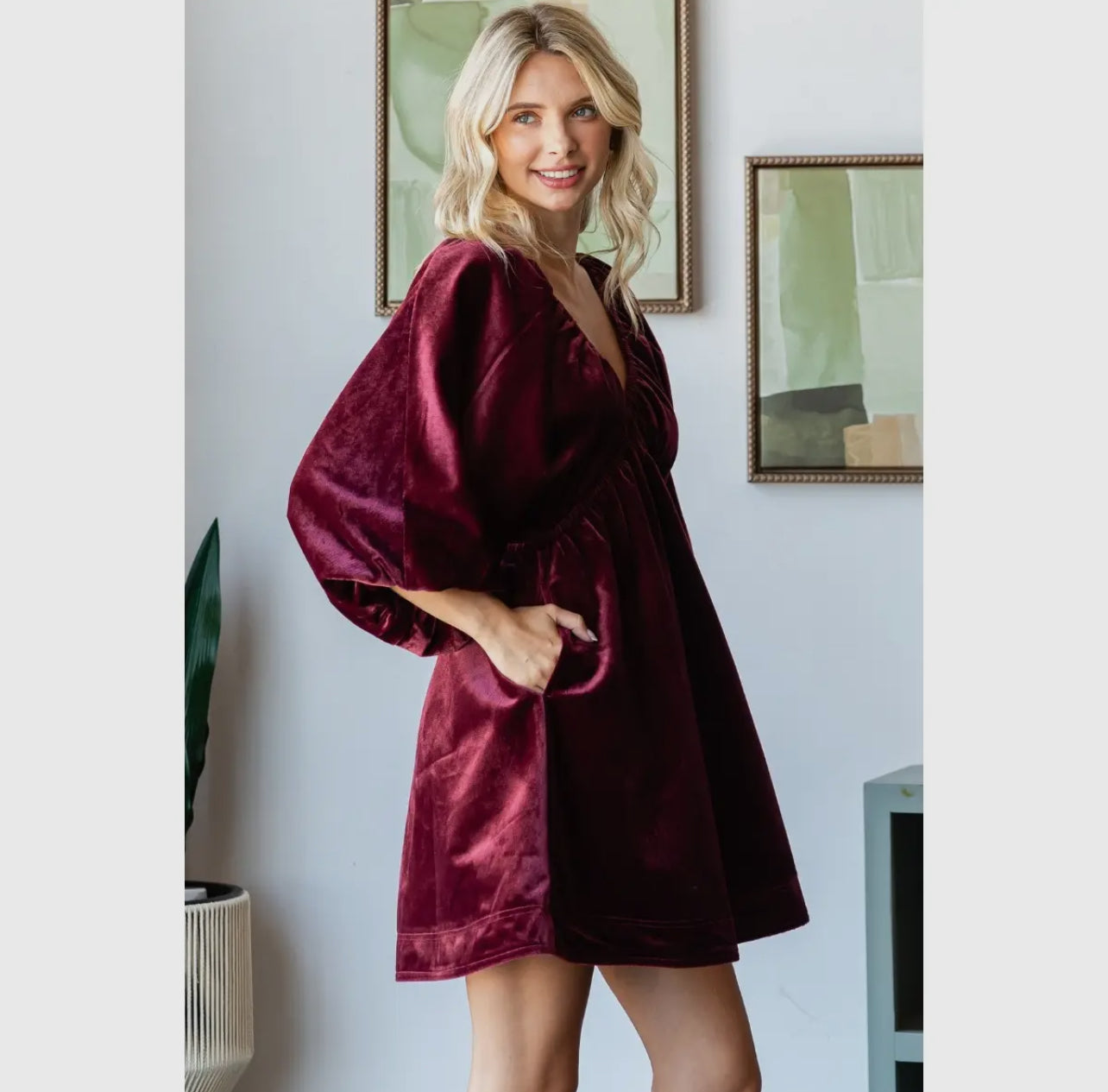 Velvetpuff Sleeve V Neck Dress