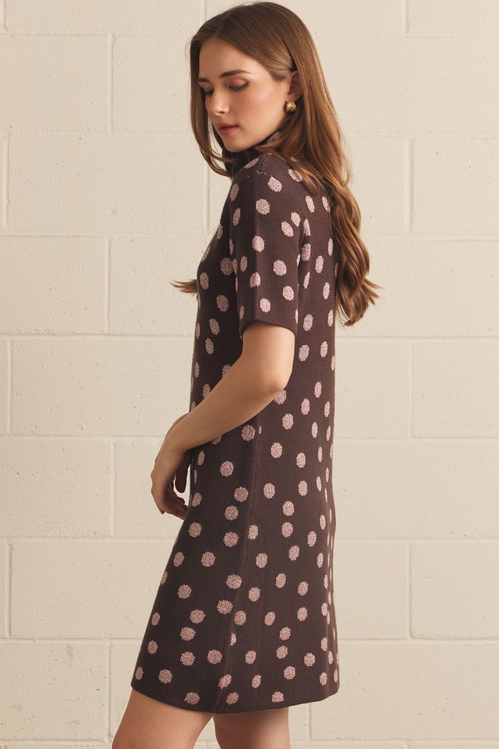 Mocha Metallic Dotted Dress
